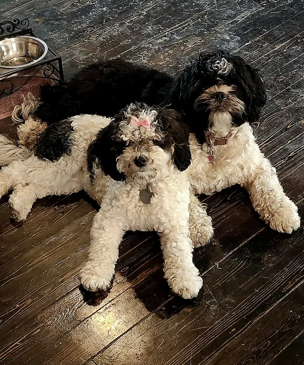 Restoring Hope Substance Abuse and - Preview