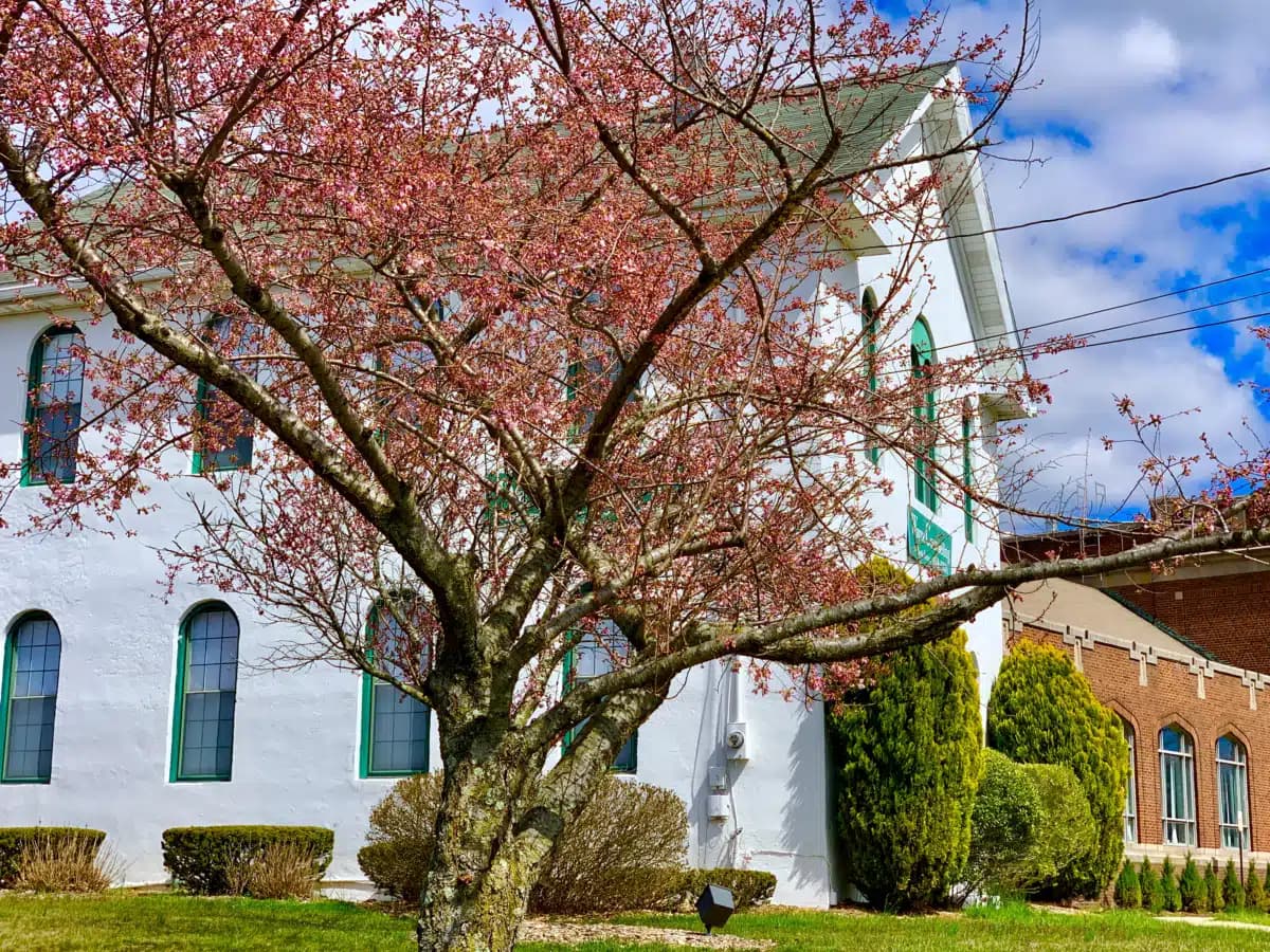 Wayne Counseling and Family Services