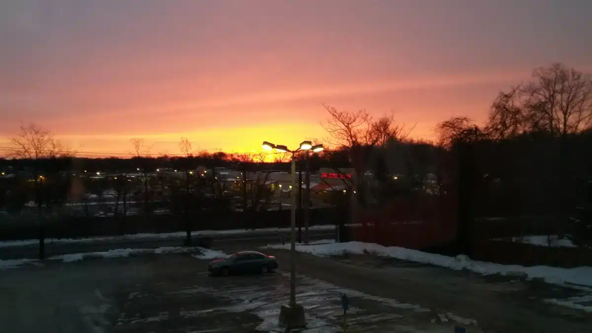 WellLife Network - Preview